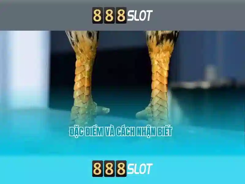 888slot khuyến mãi