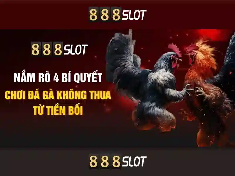 Tại Sao Chọn 888SLOT