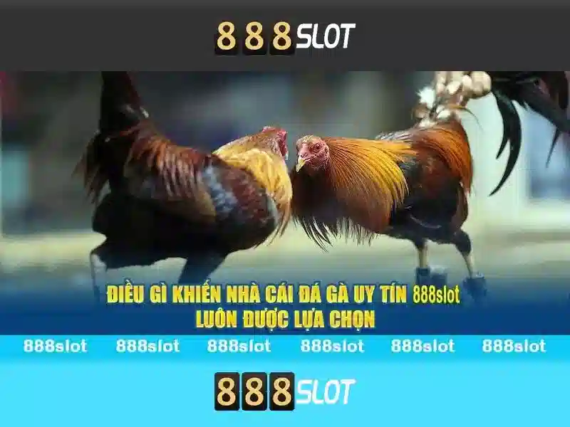 Hướng Dẫn Tải APK 888slot