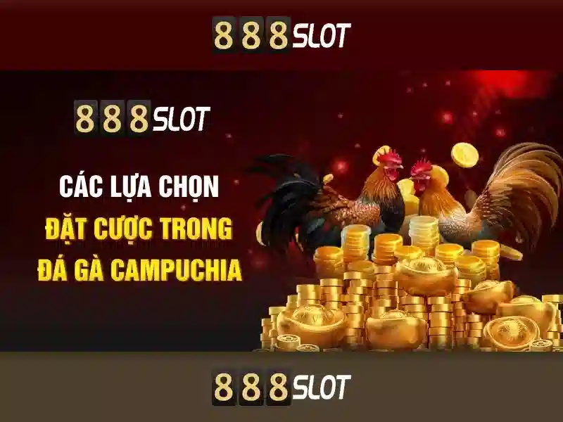 Ưu Đãi Đặc Biệt