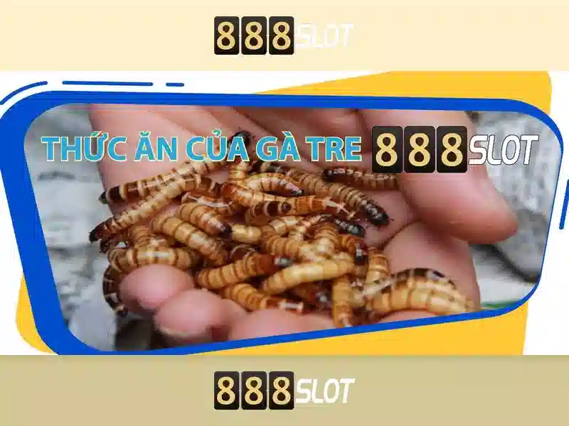 Tính Năng Nổi Bật Của Slot Game 888SLOT