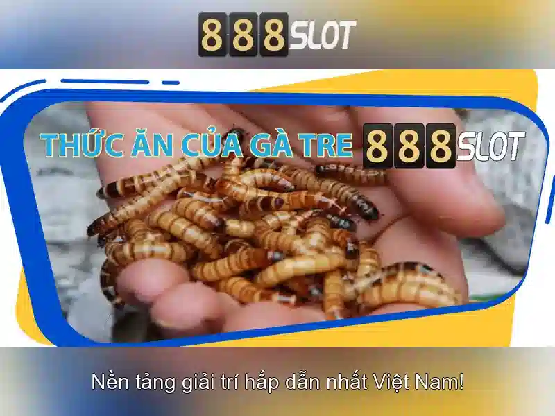 Tại sao chọn 888SLOT